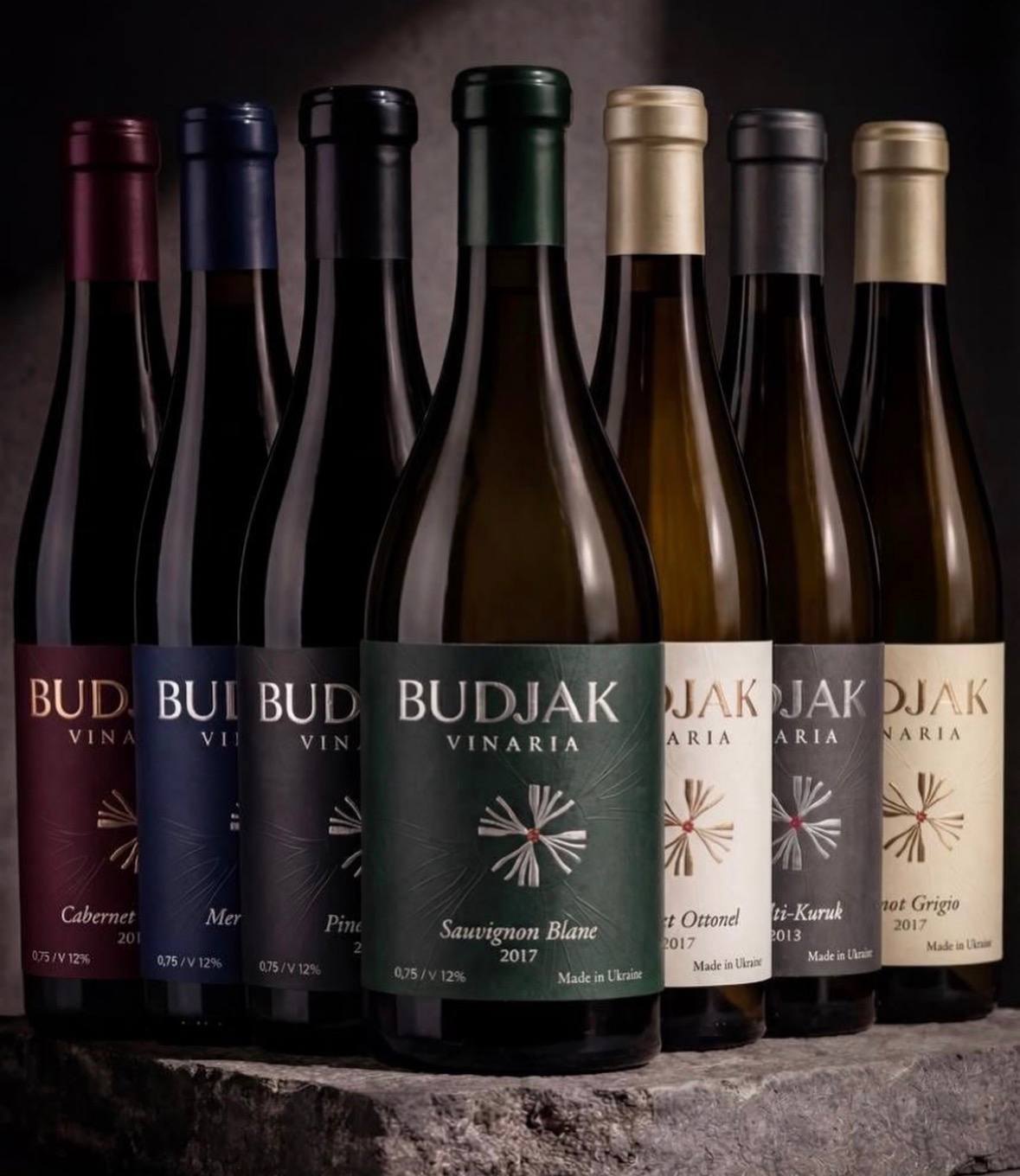 Budjak Vinaria bottles in a row on a stone slab