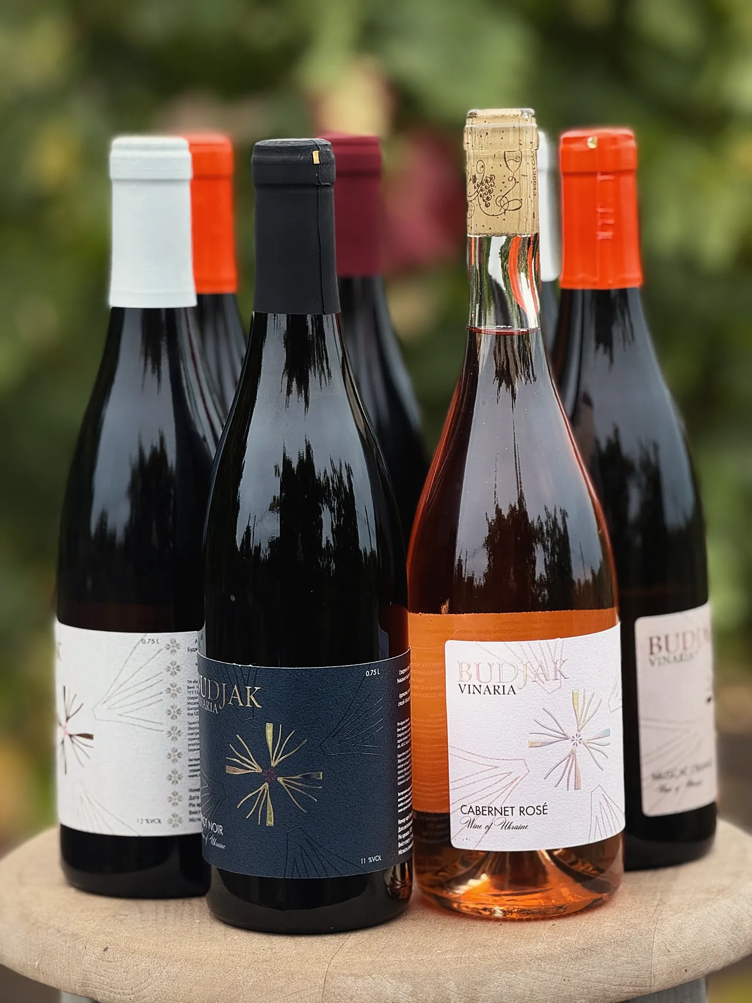 The Budjak Vinaria wines together among the vine leaves