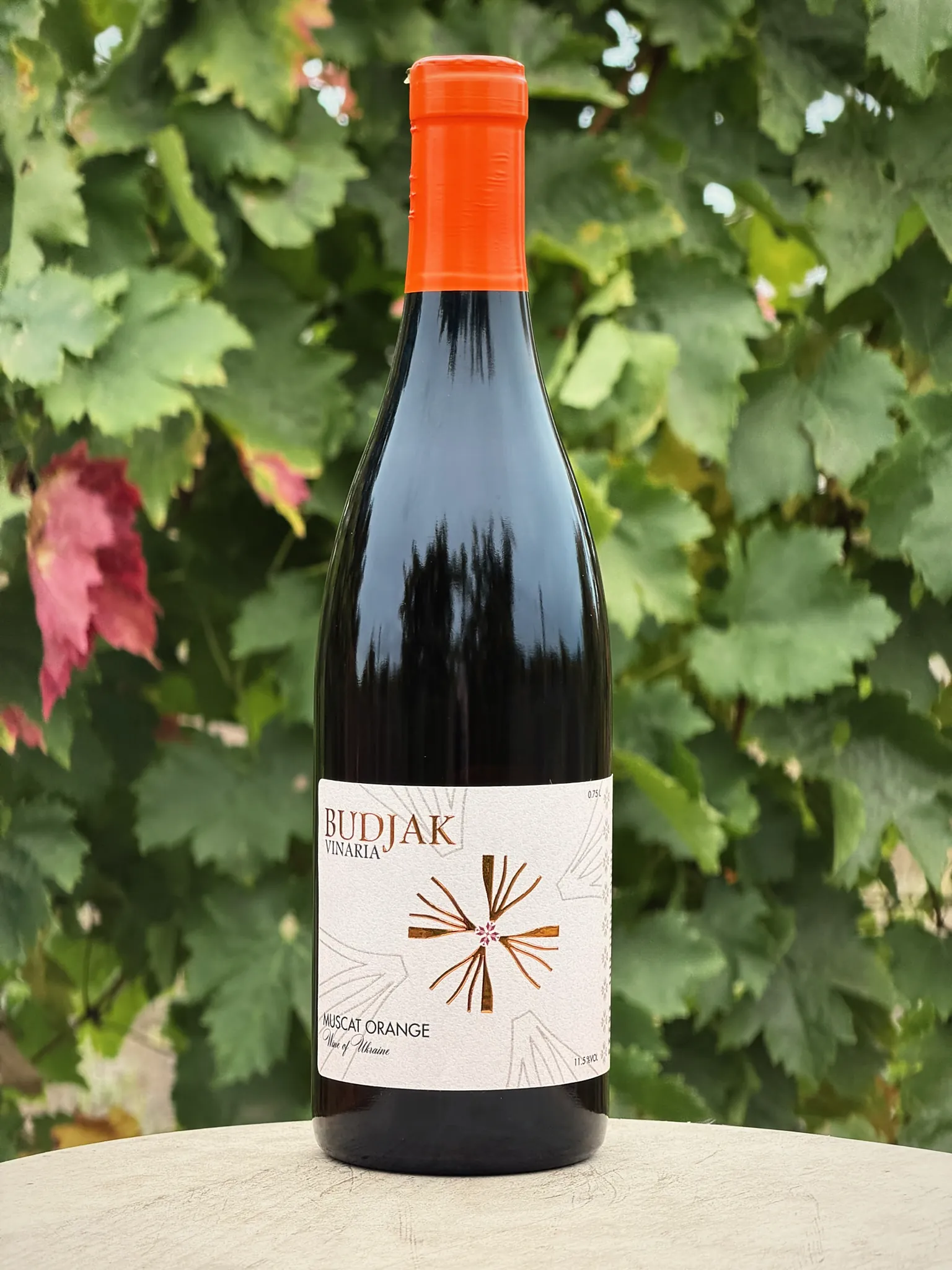 A bottle of Muscat Orange among vine leaves